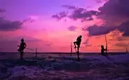Best Selling Sri Lanka Tour Package 5 Days & 4 Nights