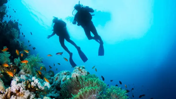 Best Maldives Sightseeing Tour Package