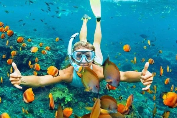Seychelles Honeymoon Package 5N/6D – Island Romance