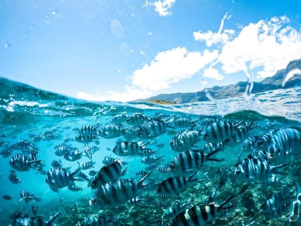Seychelles Tour 7 Days & 6 Nights – Island Discovery Experience