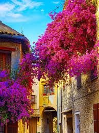 Tempting Turkey Sightseeing Tour Package